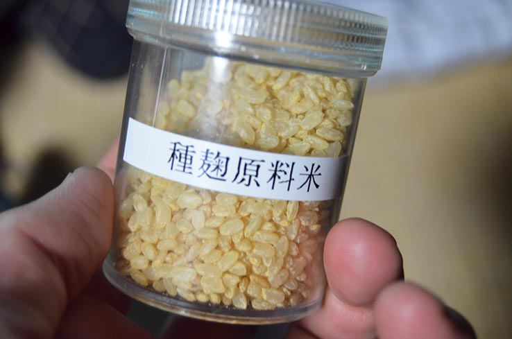 種麹原料米